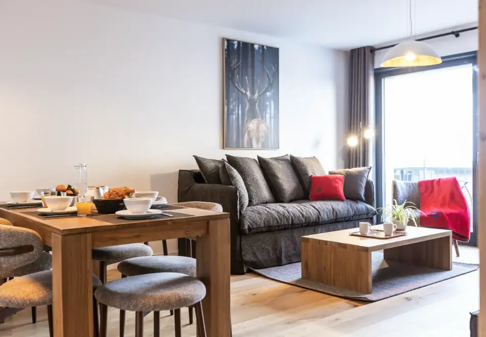 Source de Canopee, Saint Gervais les Bains - Typical 2 bed (©ManuReyBoz)