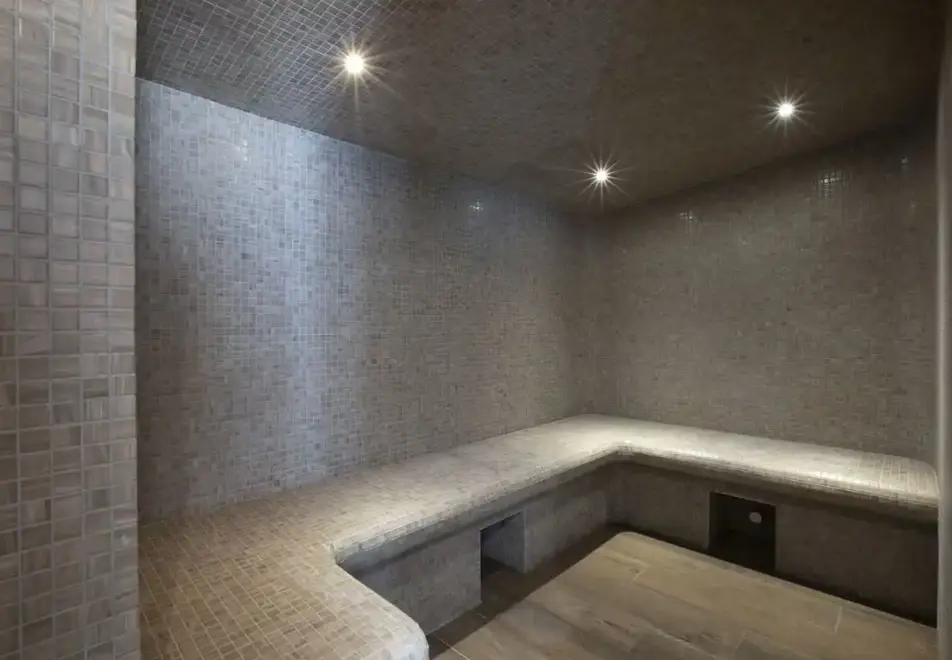 Neige et Soleil, Les Deux Alpes (self catered apartments) ©MReyboz - Steam room