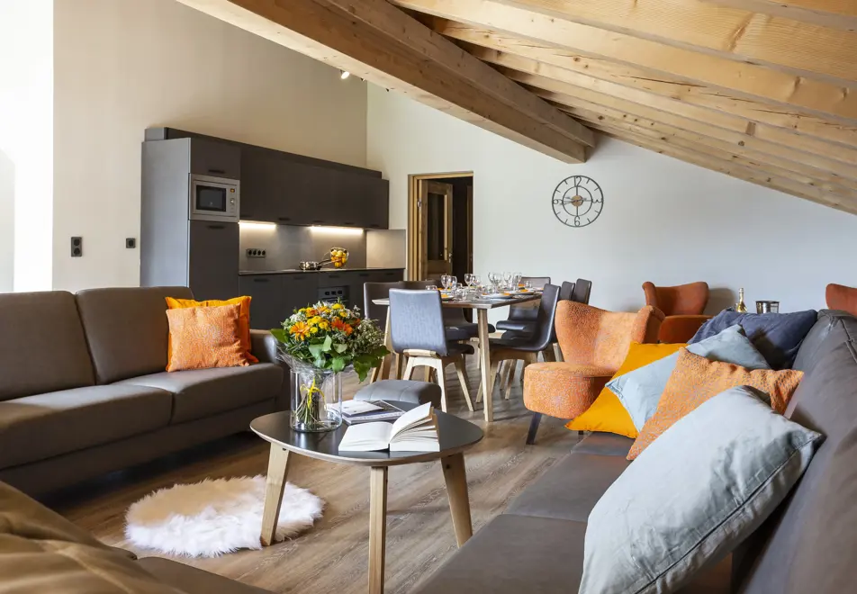 Daria-I Nor, Alpe d'Huez (apartments) - Apartment
