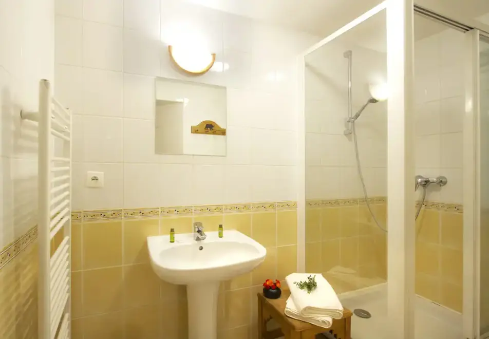 Chalet Alexandre, Les Deux Alpes (self catered chalet) - Shower room