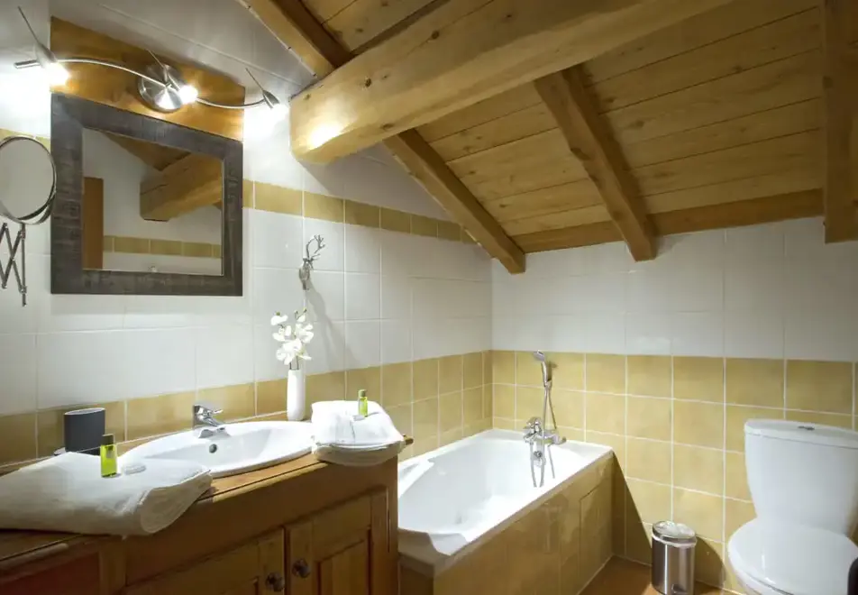 Chalet Chartreuse, Les Deux Alpes (self catered chalet) - Bathroom