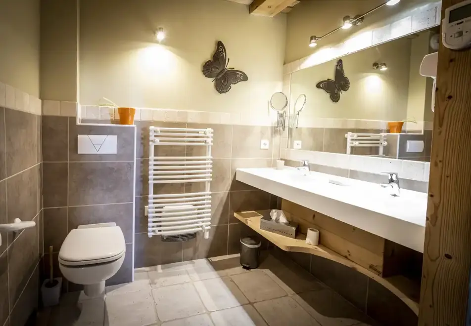 Chalet Cocoon, Plagne 1800 (self catered chalets) - Bathroom