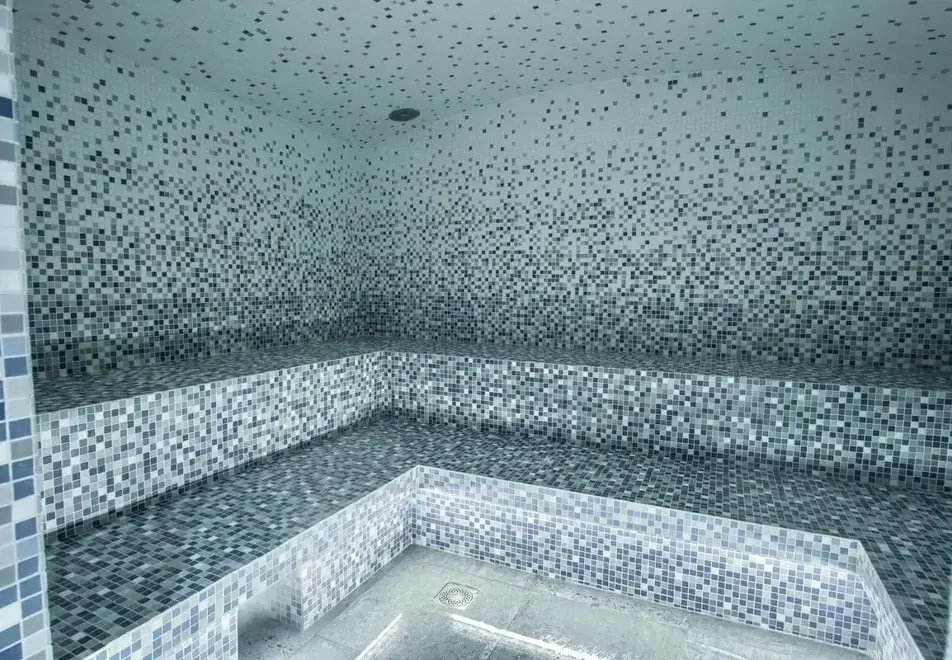 Panorama, Flaine (all inclusive hotel) - Steam room