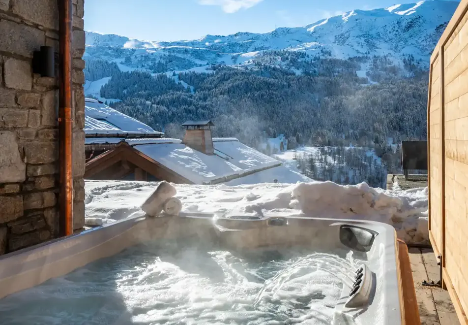 Falcon Lodge, Meribel (self catered apartments) - D01 (©Philippe Gal)