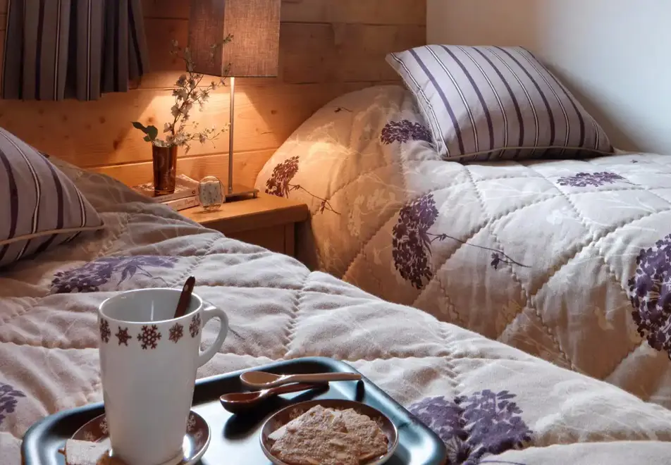 La Reine des Pres, Samoens (self catered apartments) - Typical twin bedroom style