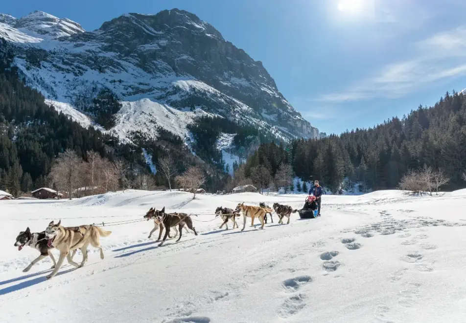 Pralognan-la-Vanoise - Dog sledding (©Guillaume Grasset)