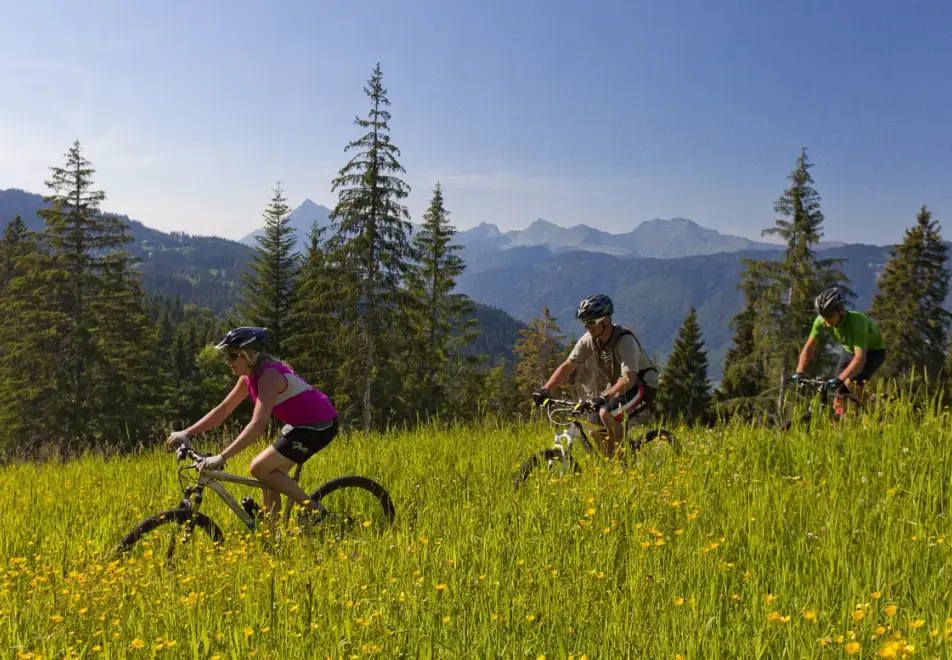 Samoens, Grand Massif - Mountain biking