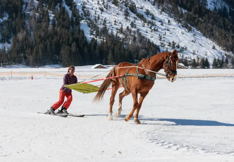 Pralognan-la-Vanoise - Ski joering (©Guillaume Grasset)